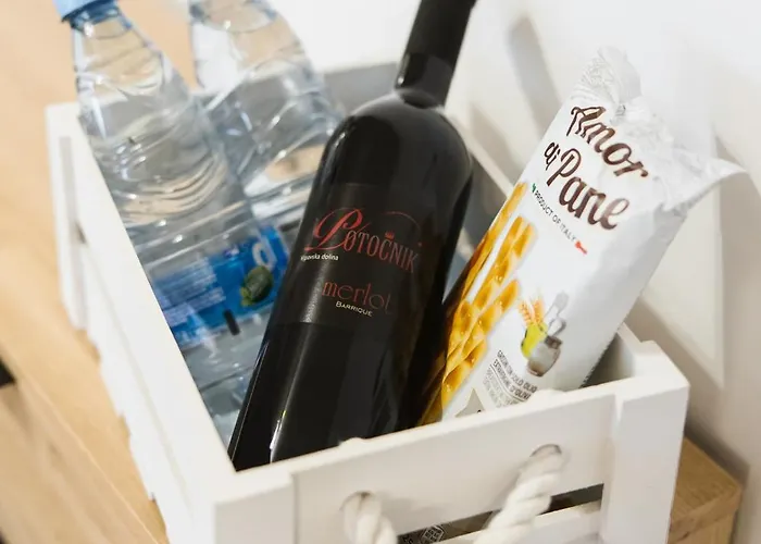 Apartma Castrum Vini *